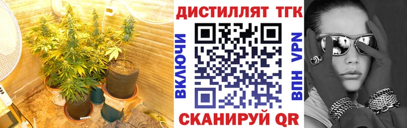 ТГК THC oil  маркетплейс какой сайт  Выборг 