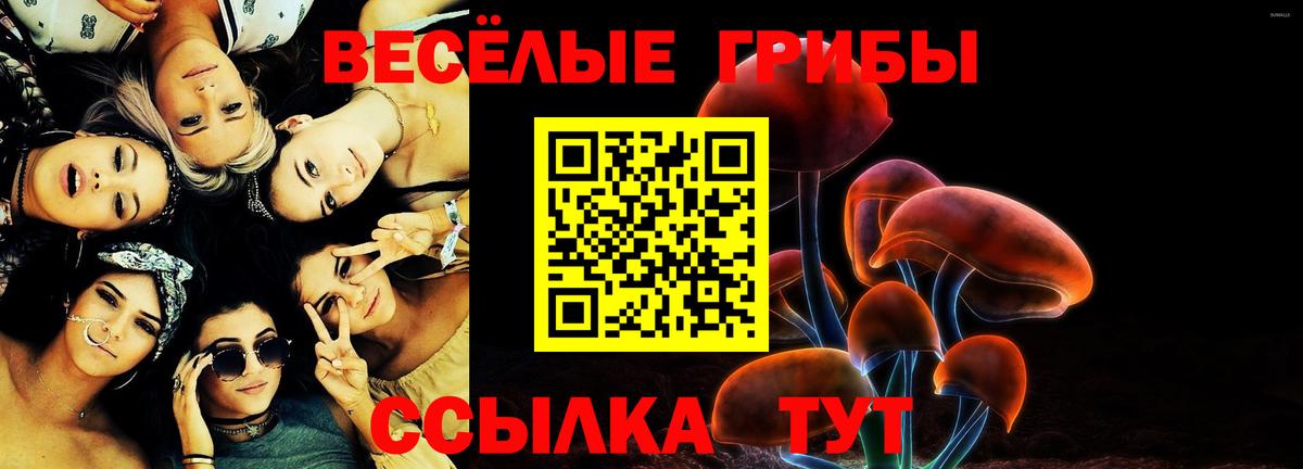 Псилоцибиновые грибы Magic Shrooms  Вход с VPN  Галлюциногенные грибы MAGIC MUSHROOMS  Выборг 