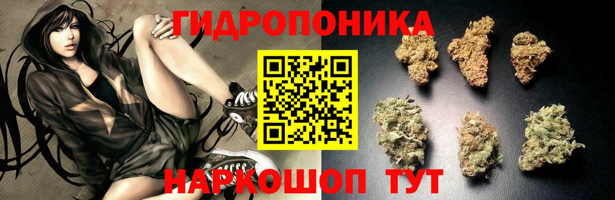 Конопля конопля Выборг