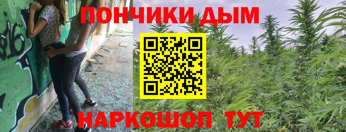 Выборг  Марихуана White Widow  Бошки Шишки семена  Конопля конопля  Вход с VPN 